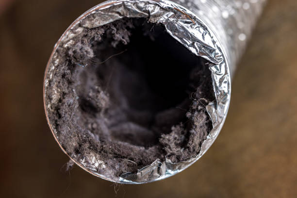 Best HVAC Air Duct Cleaning  in Elim, PA